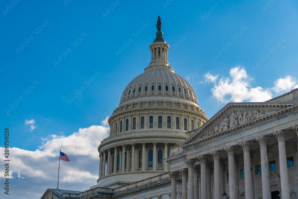 Obraz premium Capitol dome. Historic Capitol by the national flag. Capitol dome as symbol of law. Washington monument architecture. Washington DC. US Senate. Federal government in the nation capital