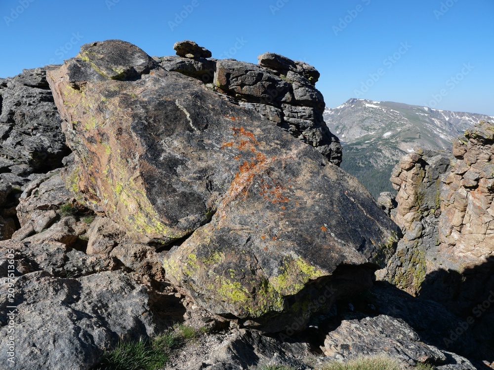 Obraz premium Lichen Covered Rock Formation with Rocky Mountains in Rocky Mountain National Park, Colorado