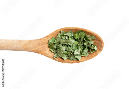 Dried Birch tree leaf powder, Betula on a wood spoon isolated against white background.
