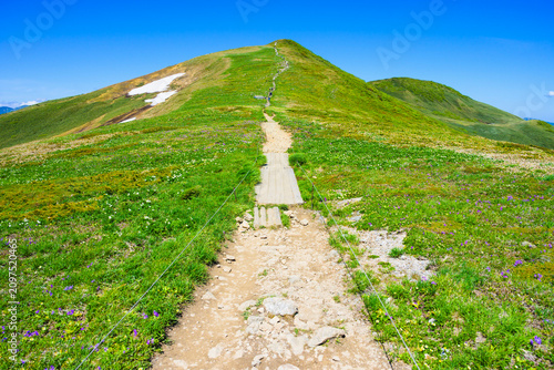  6月の平標山