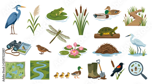 Wetland Nature and Wildlife Ecosystem Flat Vector Illustration Set with Animals, Plants, and Observation Gear Icons