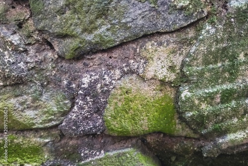 Фотография Natural distressed texture of rough stones, pebbles, and wild ferns growing in a