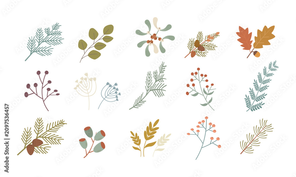 Obraz premium holly leaves design vector