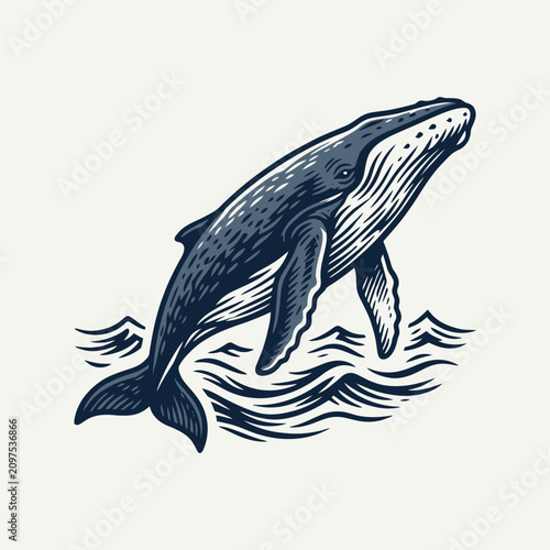 A majestic humpback whale breaches from the ocean waves
