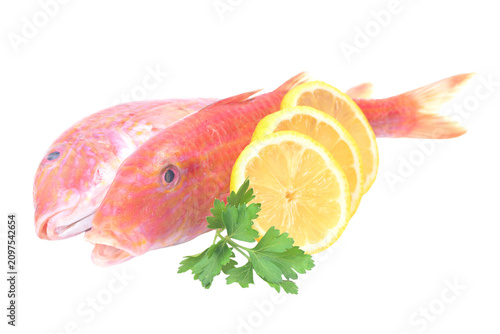 Konstfotografi Fresh fish red mullet on a white background