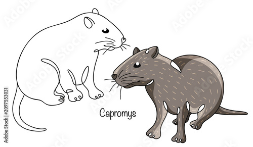 Konstfotografi Capromys