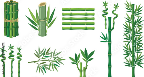 Obraz na płótnie Green bamboo vector collection featuring tied stalks spiral lucky stems horizont