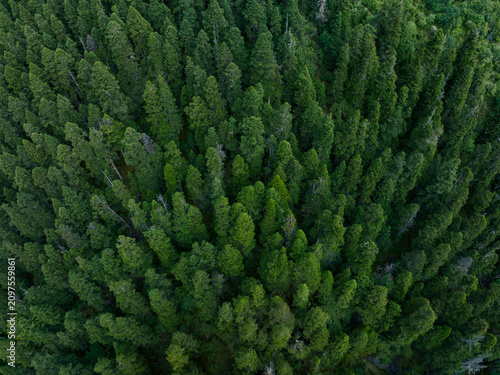 Aerial view of beautiful forest mountain landscape