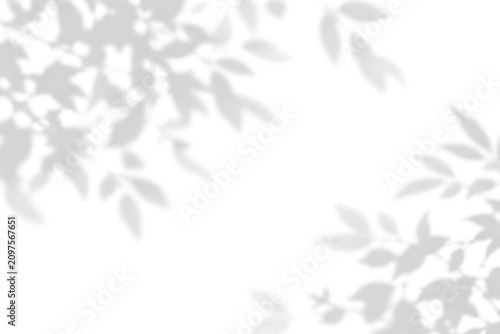 Abstract branch shadow and summer sunlight dappled shadow overlay effect with realistic abstract natural tree leaves shadow on wall background, abstract shadow background with branch	