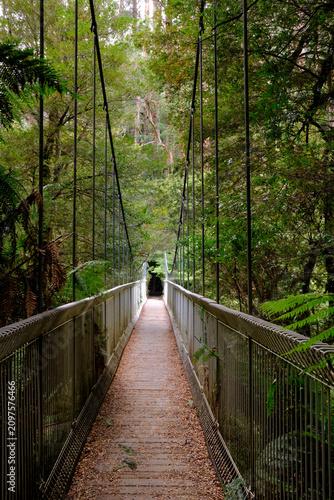 Tarra Bulga Nation Park - Suspension Bridge
