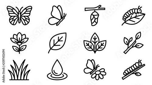 Konstfotografi Butterfly Life Cycle Icons: Egg, Larva, Pupa, Adult, Plant, Nature Elements