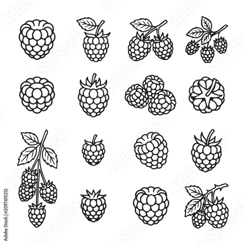 Isolated raspberry elements on a clean white background featuring fresh ripe fruit and botanical illustrations for design