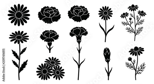 Bild auf Leinwand Black Silhouette Floral Collection With Daisies And Carnations
