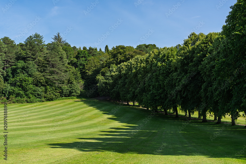 Fototapeta premium Grant Park landscape showing striped green grass and a line of trees casting long shadows under the bright sun in Forres Moray Scotland
