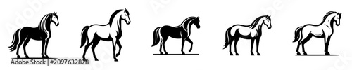Horse silhouette vectors set. Black and white elegant horses standing illustration for logo, icon, and design.