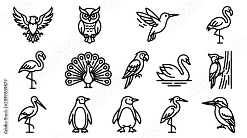 Photography Diverse Bird Species Line Art Icons Collection