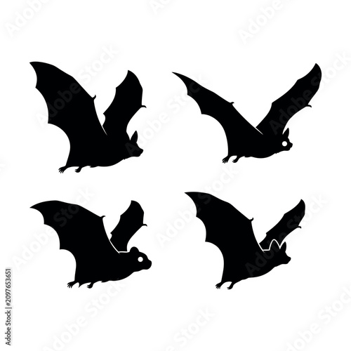Tableau sur toile Bird Silhouette Collection