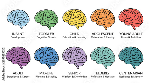 Foto Stages of Human Brain Development and Cognitive Growth Across Lifespan