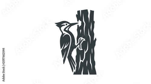 Foto Woodpecker bird on tree trunk side.