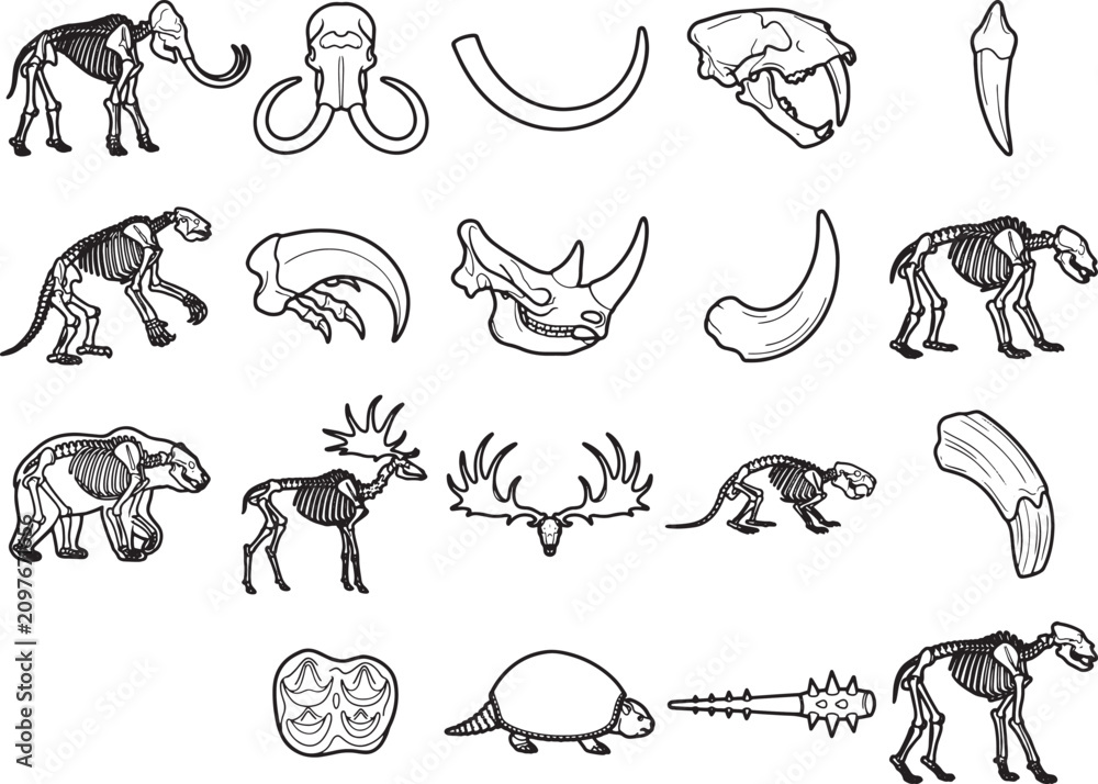Obraz premium A collection of detailed illustrations of prehistoric animal skeletons and skeletal parts, including a mammoth, sabre-toothed cat, cave bear, deer, and rhino, along with individual bones and teeth.
