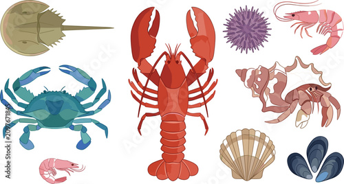 Photos Marine Crustacean and Seafood Vector Icon Set Featuring Lobster, Blue Crab, Hors
