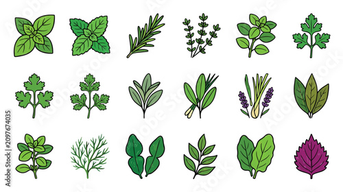 Foto Crayon Style Herb Collection Icon Set Illustration
