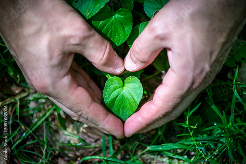 Overhead View of Hands Making Heart Around Leaf