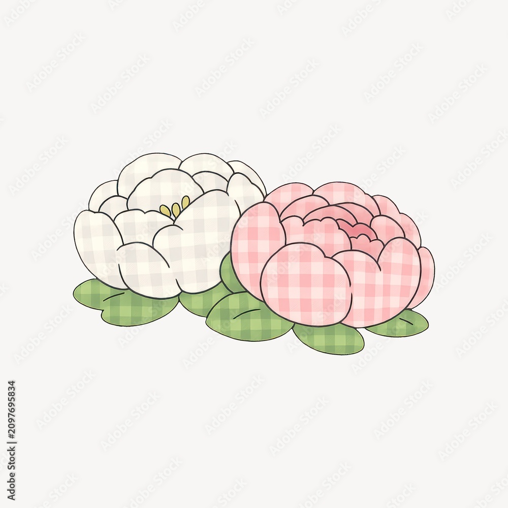 Obraz premium Cute white and pink plaid flowers with green leaves on a clean background
