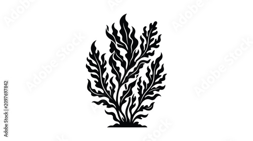 Seaweed Silhouette Against White Background Black And White Illustration