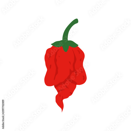Carolina Reaper chili pepper, isolated on white background. Carolina Reaper Chilli Pepper Vector Illustration. Capsicum chinense. Superhot or extremely hot chile pepper. Chili pepper. Vegetables.