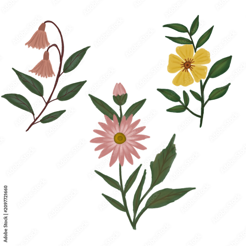 Fototapeta premium set of flowers