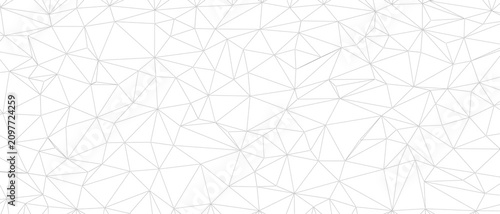 Geometric mesh network of d...
