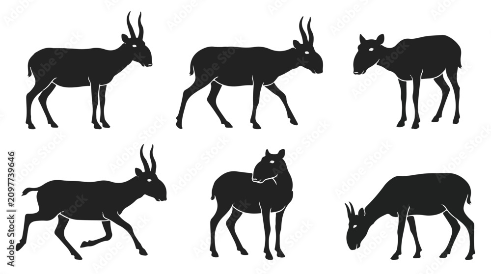 Obraz premium Saiga antelope silhouettes. Black animal icons set