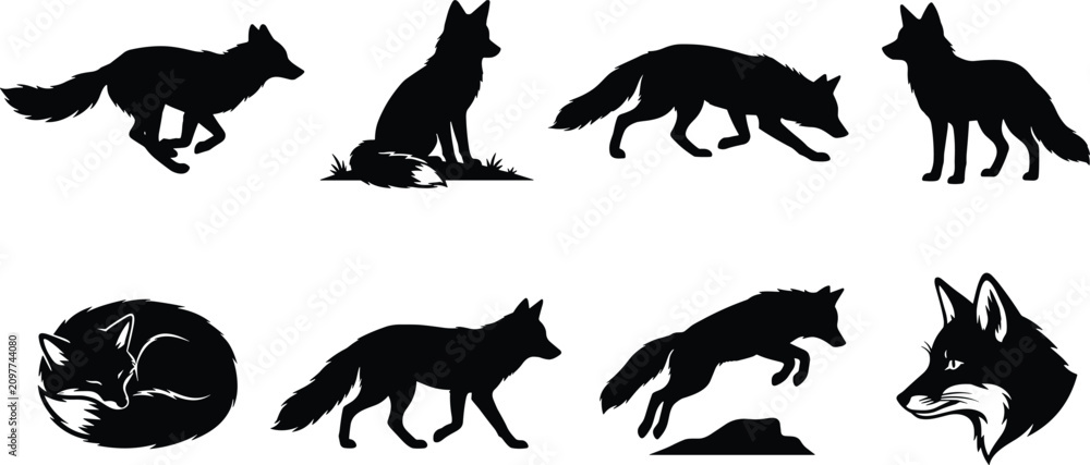 Obraz premium Set of black vector silhouettes of wild foxes in various poses isolated on white background