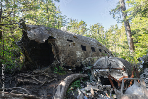 Bomber airplane wreck lying in a lush green mossy temperate forest