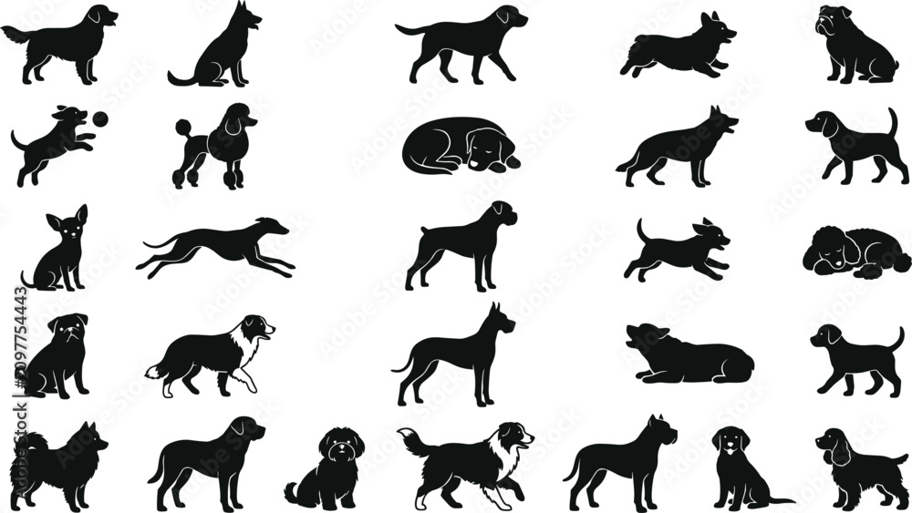 Fototapeta premium Dog breeds black silhouettes elements set with retriever husky poodle bulldog corgi dachshund pug greyhound and shepherd in various dynamic poses vector illustration