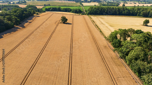 Canvastavla Aerial view of a agricultural field with a wheat crop prior to harvesting