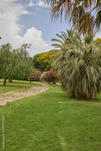Garden pathway surrounded by palm trees and greenery in Valencia park