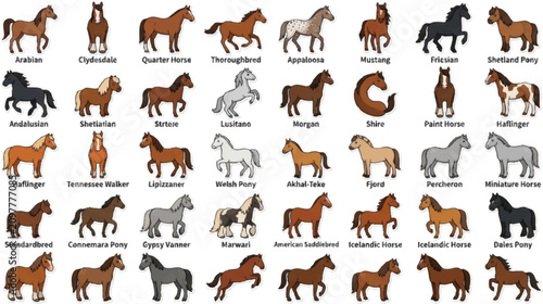 Foto Various horse breeds and colors standing.