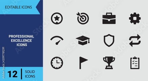 Canvastavla Professional Excellence Icons Solid Icon Set For Career Success Skill Mastery An