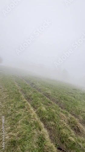 A dense fog covers a large grassy area, reducing visibility and creating a unique environment