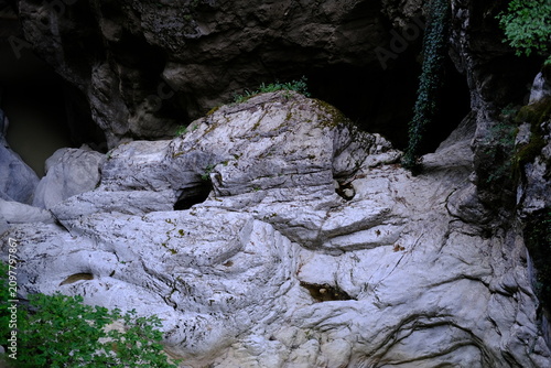 Textured rock formations inside natural cave with dark ceiling and greenery