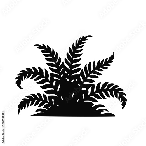 Black silhouette of a fern plant with curled fronds against