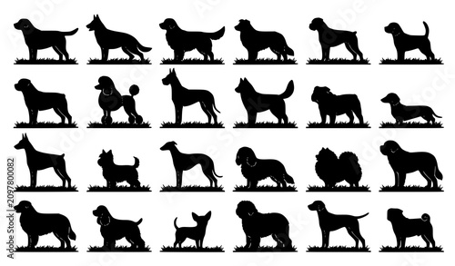 Foto Black Dog Breed Silhouette Vector Collection with Standing Pet Dogs on Grass