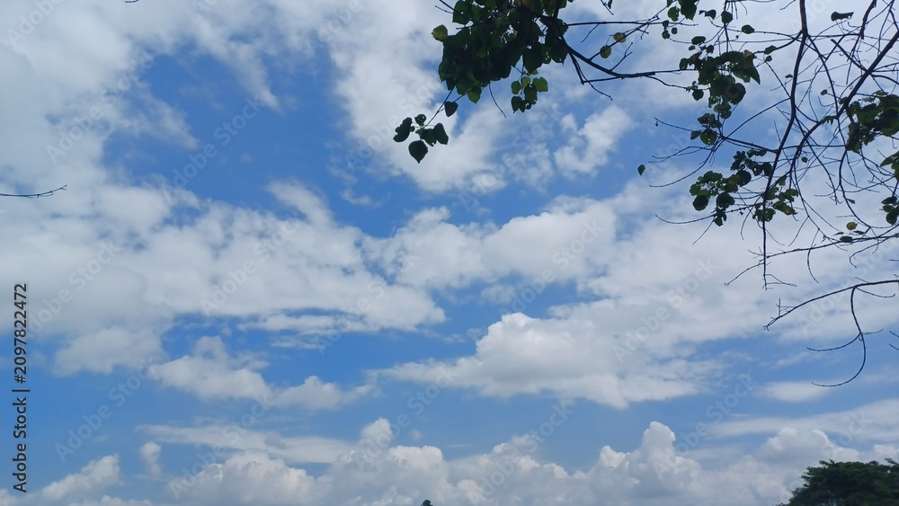 Fototapeta premium sky and clouds