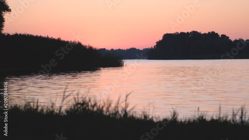 Beautiful pink sunset over calm river or lake with reed silhouettes in foreground