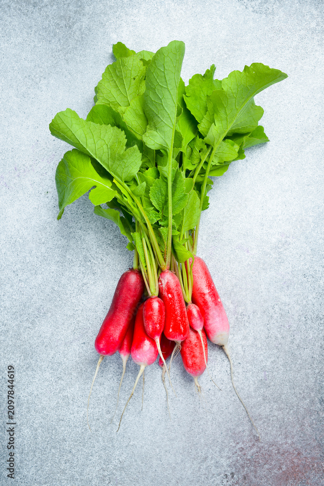 Fototapeta premium ripe red radishes on a gray concrete background. Close up.