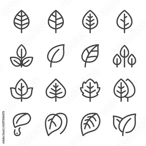 leaf and plant thin line icon set,vector and illustration
