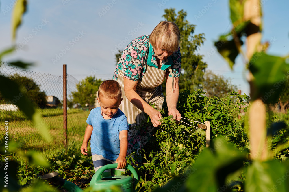 Fototapeta premium Elderly woman and young boy are in a garden during the day. They are tending to plants and using gardening tools. They appear focused on their task and enjoying time together