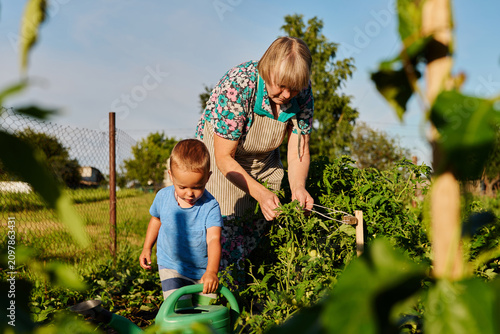 Elderly woman and young boy are in a garden during the day. They are tending to plants and using gardening tools. They appear focused on their task and enjoying time together
